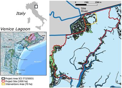 Conservation actions for restoring the coastal lagoon habitats: Strategy and multidisciplinary approach of LIFE Lagoon Refresh